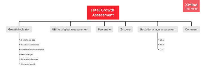 Fetal Growth Assessment